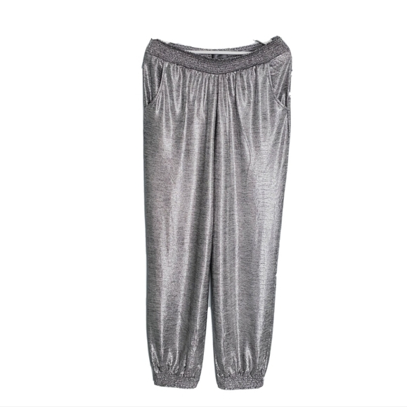 Anthropologie Shimmer Joggers Pants Pockets Metallic Silver - Picture 1 of 4
